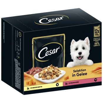 Cesar hondenvoerpakket met een lachende witte hond en een schotel met vlees en groenten in gelei. Tekst: "Selectie in gelei," 12 x 100g porties.