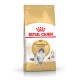 Royal Canin Adult Norwegian Forest Cat Trockenfuttertüte, mit einer grauen Katze auf der Vorderseite, mit dem Text 'Gesunde Haut & Fell'.