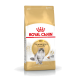 Royal Canin Adult Norwegian Forest Cat Trockenfuttertüte, mit einer grauen Katze auf der Vorderseite, mit dem Text 'Gesunde Haut & Fell'.