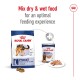 Royal Canin dog food packaging featuring a bag of dry food labeled "L maxi adult" and a can of wet food, with a note to mix both for optimal feeding.