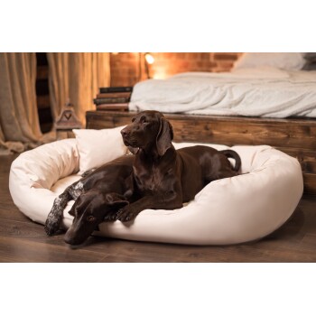 Zwei braune Hunde, die zusammen auf einem großen, weichen Hundebett in einem gemütlichen Raum mit warmem Licht und einem Holzrahmen im Hintergrund entspannen.