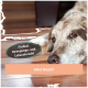 Eine Nahaufnahme eines ruhenden Hundes auf Holzboden, mit Sprechblasen, die "Fördert Bewegungs- und Lebensfreude!" und "Alter Hund?" sagen.