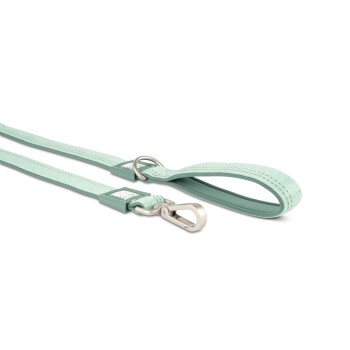 Mintgrüne Hundeleine mit gepolstertem Griff und Metallverschluss, gebrandet mit weißem Text auf grünem Etikett.
