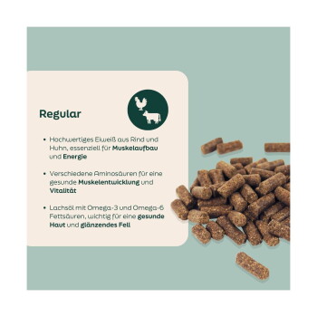 Braune Kibble-Pellets neben einer Info-Karte mit dem Titel ‚Regular‘ (Deutsch: Rind-/Hühnerprotein, Muskulatur, Omega-3 für ein gesundes Fell)