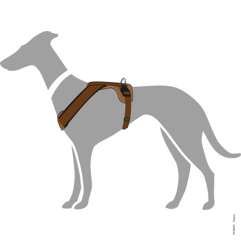 Illustration eines grauen Hundes mit einem braunen Geschirr, das das Design und die Passform des Geschirrs zeigt.