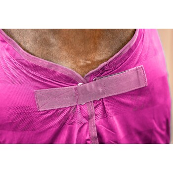 Nahaufnahme des Halses eines Hundes, der ein leuchtend pinkes, gestreiftes Haustierkleidungsstück mit einer sicheren Befestigung auf der Rückseite trägt.