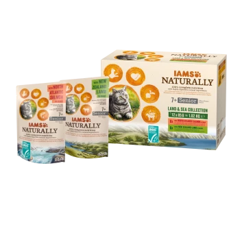 IAMS Naturally Katzenfutter Land & Sea Collection, 7+ Senior – Nordatlantischer Lachs & Neuseeland‑Lamm in Beuteln; graue Katze.