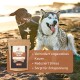 Zwei glückliche Hunde, ein schwarzer Hund und ein sibirischer Husky, spielen am Strand neben einem Paket "Wildfang Leberknochen für Hunde."