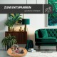 Ein gemütliches Wohnzimmer mit einem kleinen Hund in einem Korb, einer grünen Lampe, Pflanzen und einem gepolsterten grünen Sofa. Text: "ZUM ENTSPANNEN" und "gemütlicher Schlafplatz."