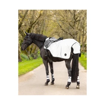 Ein schwarzes Pferd steht auf einem Kiesweg, trägt eine elegante weiße Satteldecke und schützende Beinschoner, umgeben von Bäumen.