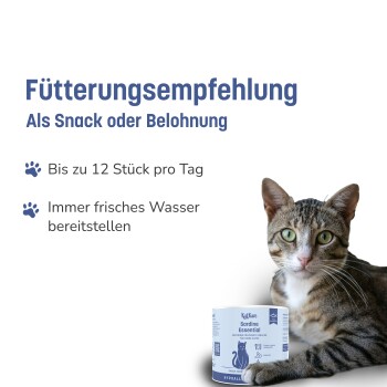 Getigerte Katze mit 'Sardine Essential' Dose und deutschem Text: 'Fütterungsempfehlung – Als Snack oder Belohnung; Bis zu 12 Stück pro Tag'