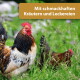 Hahn und Henne grasen im hohen Gras; oberes Banner: „Mit schmackhaften Kräutern und Leckereien“