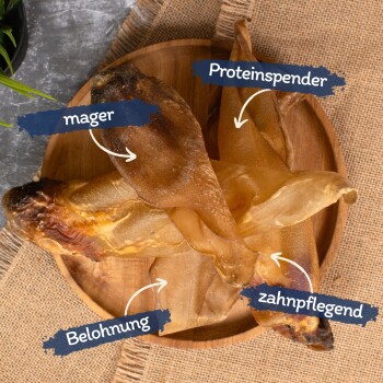 Getrocknete Fisch-Leckerlis für Haustiere auf einem Holzbrett, beschriftet mit: "mager", "Eiweißquelle", "Belohnung" und "Zahnpflege."