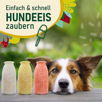 Mix 6x 250 ml + Eisform