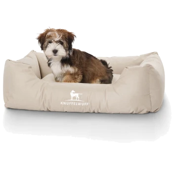 Ein kleiner, flauschiger Hund sitzt bequem in einem beigen Hundebett mit dem Logo "KNUFFELWUFF", das prominent auf der Vorderseite angezeigt wird.