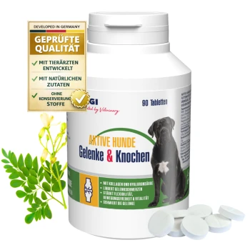 Behälter mit GIGI Gelenk- und Knochensupplementen für aktive Hunde, mit 90 Tabletten, mit Ansprüchen auf Vorteile von Kollagen und Hyaluronsäure.