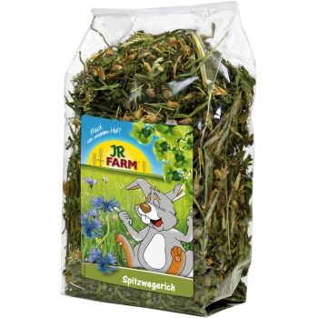weegbree 500 g Heldere plastic zak met gedroogde kruiden gelabeld "JR FARM Spitzwegerich," met een cartoonkonijn in een grasveld met blauwe bloemen.