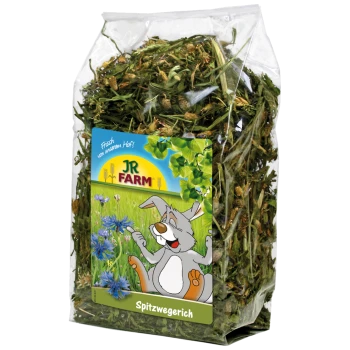 Klare Plastiktüte mit getrockneten Kräutern, beschriftet "JR FARM Spitzwegerich," mit einem Cartoon-Hasen in einem grasbewachsenen Feld mit blauen Blumen.