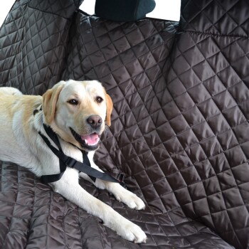 Ein hellfarbener Hund, der auf einem braunen, gesteppten Autositzbezug liegt, gesichert mit einem schwarzen Geschirr.