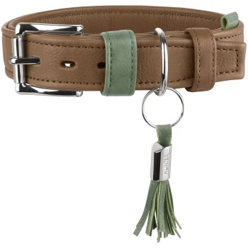 Braunes Halsband aus Leder für Hunde mit grünen Lederakzenten, verchromter Schnalle und D-Ring, hängender grüner Quastenanhänger mit Gravur 'HUNTER'.