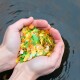 Die Hände einer Person, die bunte Fischfutterflocken in den Farben Grün, Orange und Weiß halten, mit einer verschwommenen Wasseroberfläche im Hintergrund.
