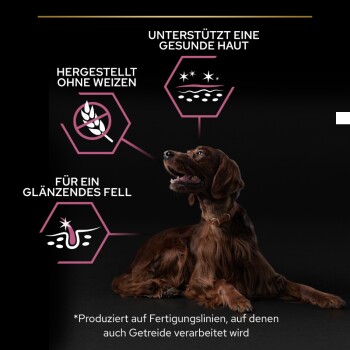 Ein brauner Hund sitzt vor einem schwarzen Hintergrund, mit Text, der die Vorteile hervorhebt: 'Unterstützt gesunde Haut', 'Ohne Weizen hergestellt' und 'Für ein glänzendes Fell.'
