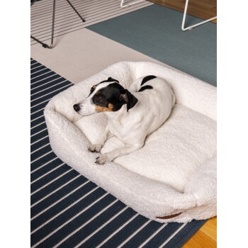 Ein kleiner schwarz-weißer Hund ruht sich in einem flauschigen Haustierbett auf einem gestreiften Teppich aus und schaut neugierig in die Kamera.