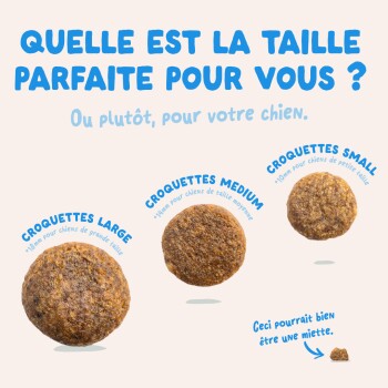 Trois croquettes étiquetées « Croquettes Grande/Moyenne/Petite » et titre « Quelle est la taille parfaite pour vous ? »
