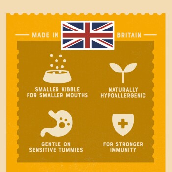 Infographic on pet food with a British flag, showcasing benefits: small kibble, hypoallergenic, tummy-friendly, and immune support.