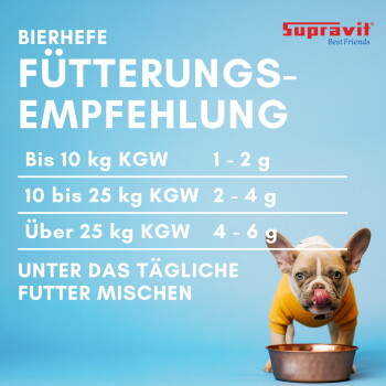 Nahaufnahme eines lächelnden schwarz-lohfarbenen Hundes im Freien; Banner mit "AUS DEUTSCHLAND" und deutscher Beschreibung