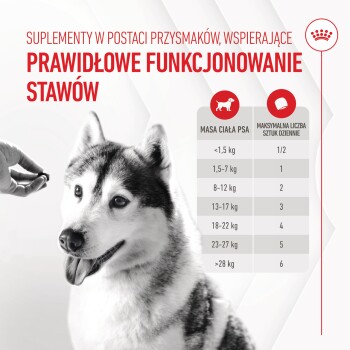 Zbliżenie syberyjskiego husky'ego patrzącego na rękę trzymającą suplement, z tekstem szczegółowo opisującym zalecane dawkowanie w zależności od wagi psa.