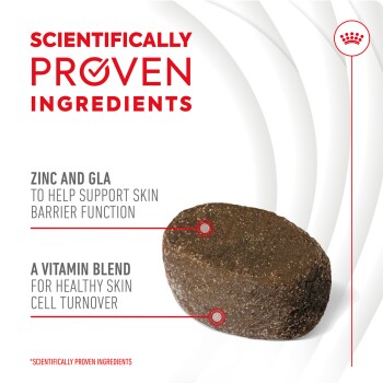 Pet food product featuring "Scientifically Proven Ingredients," with zinc and GLA for skin support and a vitamin blend for healthy skin turnover.