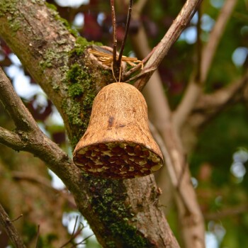 Ein natürlicher Vogelfutterspender in Form einer Glocke, der von einem Baumast hängt und mit Samen und Nüssen gefüllt ist.