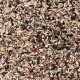 Gemischtes Vogelfutter mit Symbolen für Streufütterung, Futterkolumne und Vogelhausnutzung, beschriftet auf Deutsch.