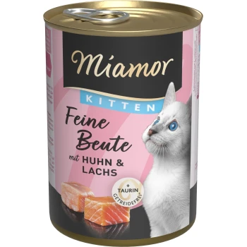 Miamor Kitten Nassfutterdose mit Huhn und Lachs, getreidefrei, mit Taurin, und einem weißen Kätzchen mit blauen Augen auf dem Etikett.