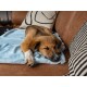 Ein entspannter Hund liegt auf einer weichen blauen Decke auf einem braunen Sofa, mit dekorativen Kissen im Hintergrund.