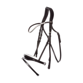 Schwarzes Haustiergeschirr mit einem verzierten Riemen, mit verstellbaren Schnallen und einem eleganten Design, vor einem weißen Hintergrund aufgehängt.