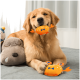 Ein Golden Retriever hält glücklich ein orangefarbenes, krabbenförmiges Plüschtier im Mund, sitzt auf einem grauen Bett mit einem schlafenden grauen Hund-Plüschtier in der Nähe.