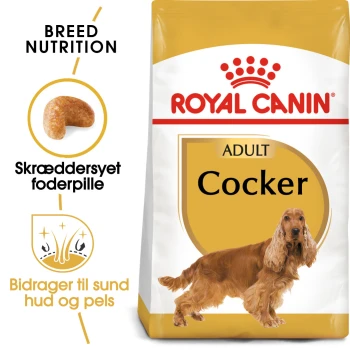 Royal Canin Adult Cocker Hundefutterbeutel mit einem goldenen Cocker Spaniel, mit Text, der die Ernährungsbedürfnisse der Rasse und Vorteile für Haut und Fell hervorhebt.