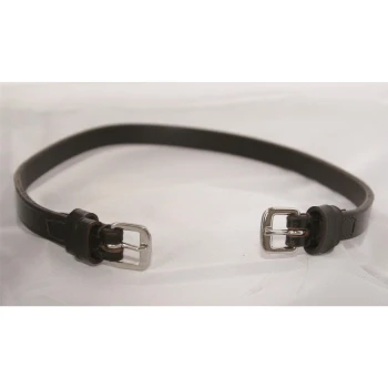 Ein braunes Leder-Haustierhalsband mit silbernen Schnallen, flach auf einem hellen Hintergrund ausgelegt.