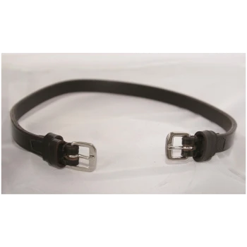 Ein braunes Leder-Haustierhalsband mit silbernen Schnallen, flach auf einem hellen Hintergrund ausgelegt.