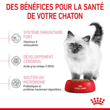 Chaton blanc à côté d'une gamelle rouge Royal Canin ; bannière en français 'Des bénéfices...' mettant en avant immunité, cerveau, microbiome.
