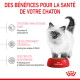 Chaton blanc à côté d'une gamelle rouge Royal Canin ; bannière en français 'Des bénéfices...' mettant en avant immunité, cerveau, microbiome.
