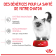 Chaton blanc à côté d'une gamelle rouge Royal Canin ; bannière en français 'Des bénéfices...' mettant en avant immunité, cerveau, microbiome.