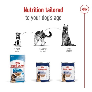 Image of Royal Canin dog food showcasing three nutrition stages: Puppy (2-15 months), Adult (15 months-5 years), and Ageing (5+ years).