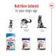 Image of Royal Canin dog food showcasing three nutrition stages: Puppy (2-15 months), Adult (15 months-5 years), and Ageing (5+ years).