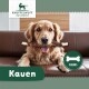 Ein Golden Retriever sitzt auf einer braunen Ledercouch und hält einen Kauknochen im Mund. Der Text lautet "Kauen" und "CHEWS."