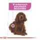 Relax Care Medium 10 kg