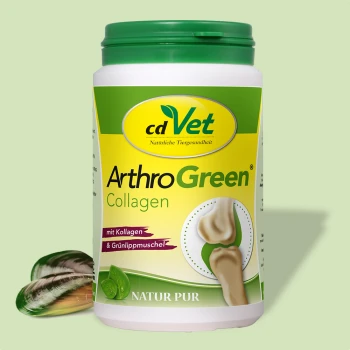 Behälter mit cdVet ArthroGreen Kollagenpräparat für Haustiere, zeigt ein Kniegelenk und den Text "mit Kollagen & Grünlippmuschel" und "NATUR PUR".