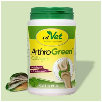 Behälter mit cdVet ArthroGreen Kollagenpräparat für Haustiere, zeigt ein Kniegelenk und den Text "mit Kollagen & Grünlippmuschel" und "NATUR PUR".